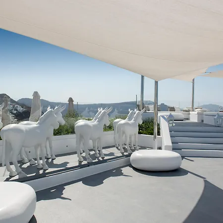 Hotel Canaves Sunday